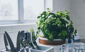 Herbata z mięty – dlaczego warto ją pić?