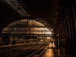 Fascynująca przyroda tatrzańska