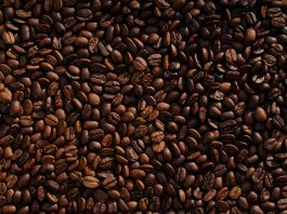 Arabika czy robusta