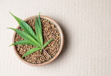 Najchętniej wybierane kolekcjonerskie nasiona marihuany