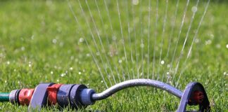 Jaki zraszacz na wąski trawnik?