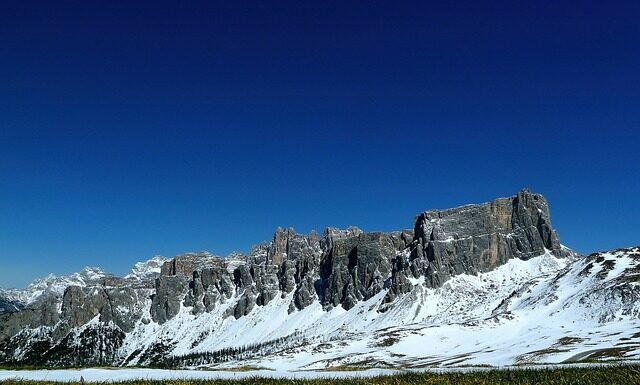 Kiedy stosować nawóz Polifoska?
