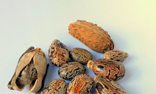 Co ile wymiana oleju w ciągniku rolniczym? Co ile wymiana oleju w ciągniku rolniczym?