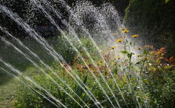 Jakie nawadnianie do warzyw?