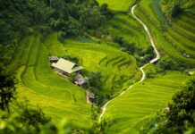 Czym ściągnąć izolację z kabla? Czym ściągnąć izolację z kabla?