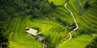 Czym ściągnąć izolację z kabla?