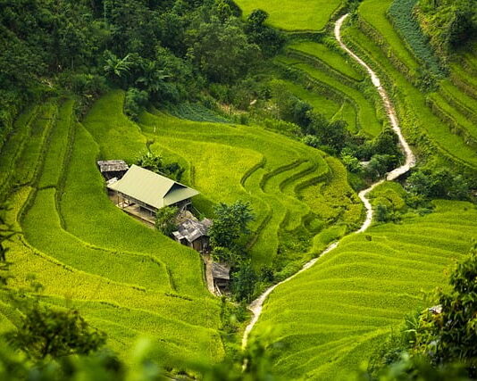 Czym ściągnąć izolację z kabla?