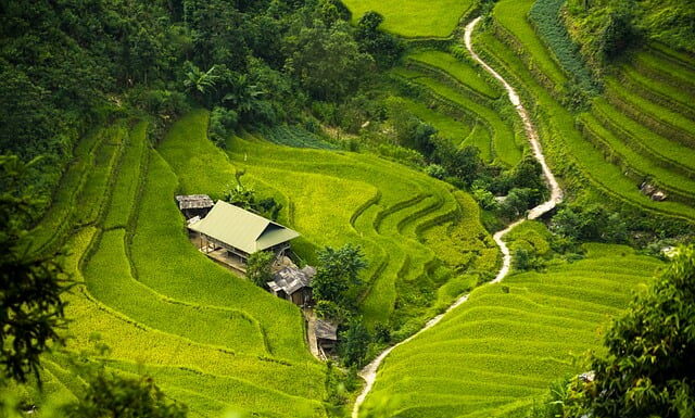 Czym ściągnąć izolację z kabla? Czym ściągnąć izolację z kabla?