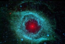 Jaka ostrzałka do noży forum?