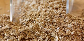 Jak szybko uzupełnić fosfor w glebie?