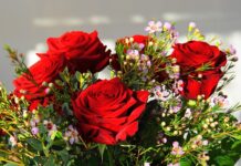 Jaki jest najdroższy olej na świecie? Jaki jest najdroższy olej na świecie?