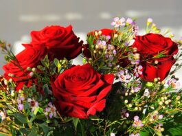 Jaki jest najdroższy olej na świecie?