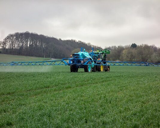 Jakie nawozy sztuczne pod warzywa?