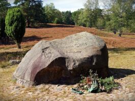 Jakie drewno oczyszcza komin?