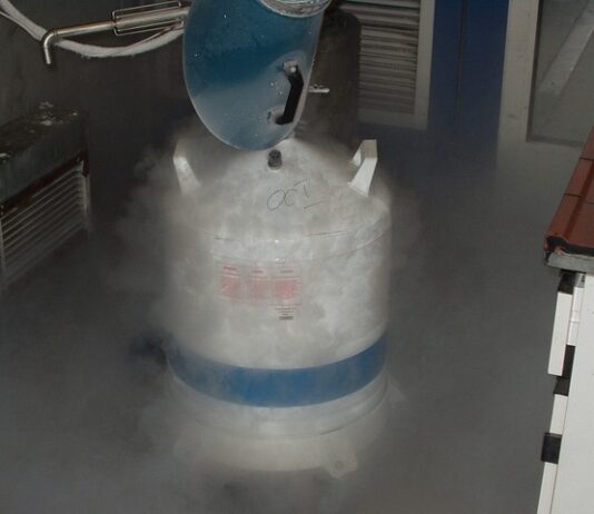 Jak wprowadzić azot do gleby?