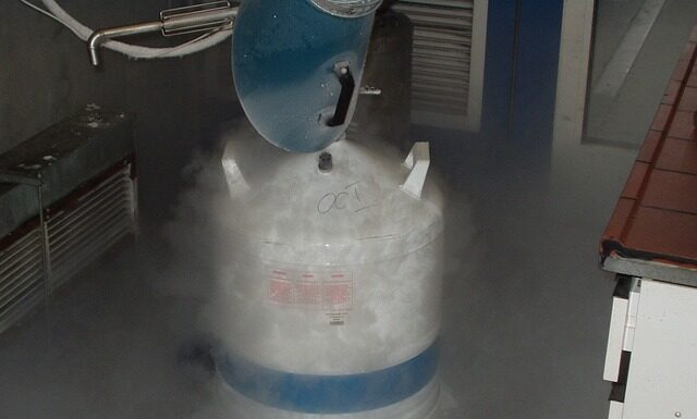 Jak wprowadzić azot do gleby? Jak wprowadzić azot do gleby?