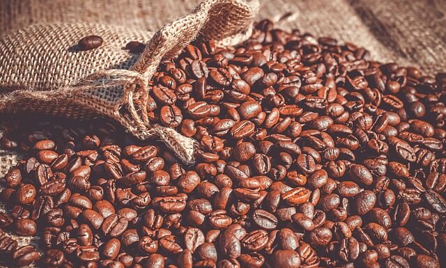 Czy fasola to owoc czy warzywo?