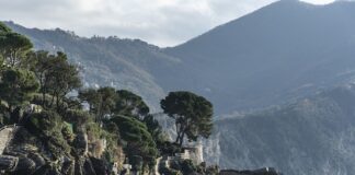 Ile kosztuje 1 tona saletrzaku?