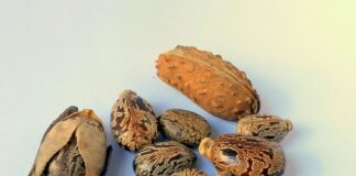 Jak sprawdzić ilość oleju w klimatyzacji?