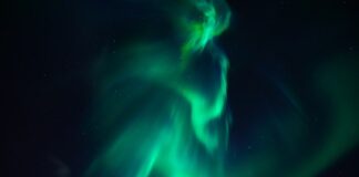 Który obornik ma najwięcej azotu?