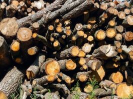 Co to jest głownia noża?