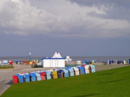 Czym czyścić toaletę w kamperze?