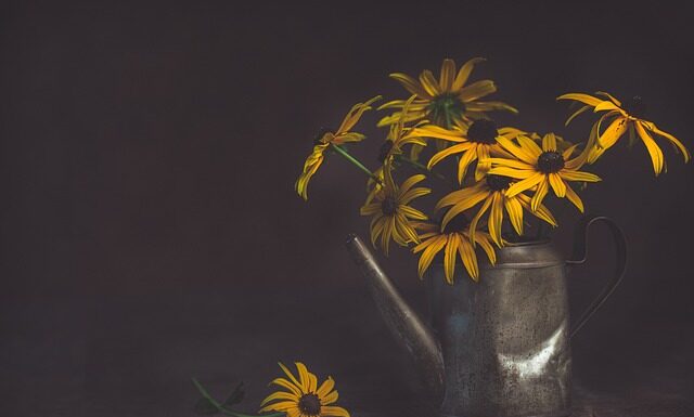Co podlewamy biohumusem? Co podlewamy biohumusem?