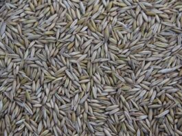 Gdzie są produkowane narzędzia Milwaukee?