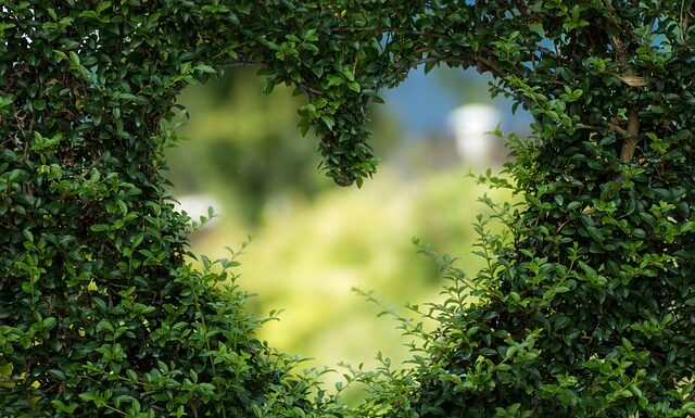 Kiedy zasilać rośliny?