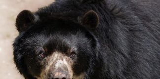 Czy można jeździć samochodem w okularach przeciwsłonecznych?