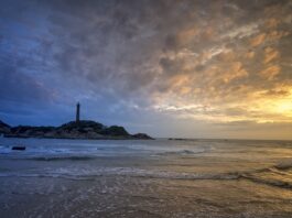 Gdzie się wlewa olej do lag?