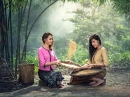 Co kiedy siać w ogrodzie?