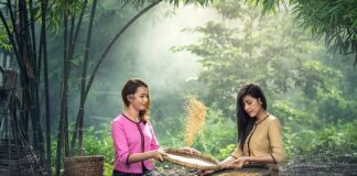 Co kiedy siać w ogrodzie?