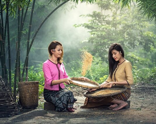 Co kiedy siać w ogrodzie?