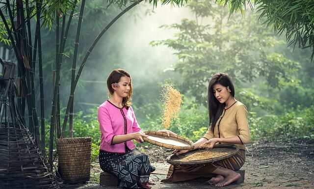 Co kiedy siać w ogrodzie? Co kiedy siać w ogrodzie?