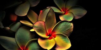 Do czego służy multi tool?