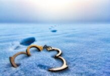 Czy trzeba wymieniać oba zaciski hamulcowe? Czy trzeba wymieniać oba zaciski hamulcowe?