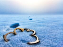 Czy trzeba wymieniać oba zaciski hamulcowe?