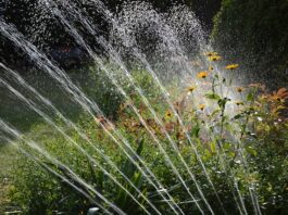Ile kosztuje metr nawadniania ogrodu?