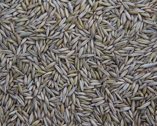 Kto produkuje narzędzia Hilti?