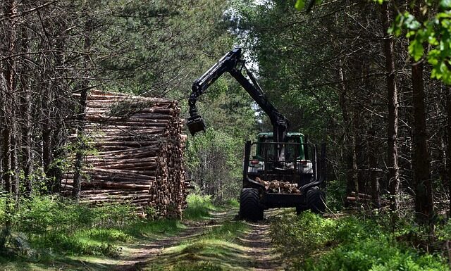 Po co jest zrywka? Po co jest zrywka?
