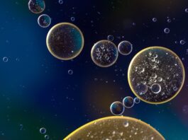 Ile oleju do lag Xmotos?