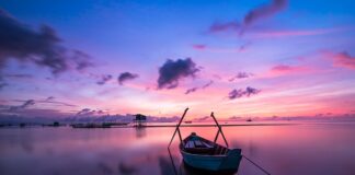 Jaki kolor szkieł dla kierowców?