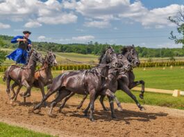 Czym smarować szczęki hamulcowe?