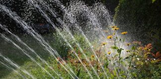 Czy warto robić nawadnianie trawnika?