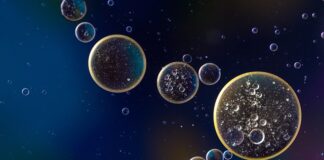 Ile kosztuje wymiana oleju w lagach?