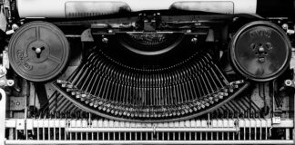 Jakie są typy roślin?