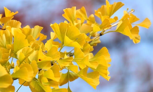 Co robi wentylator w klimatyzacji? Co robi wentylator w klimatyzacji?