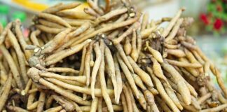 Jak zamontować nasadę na komin?