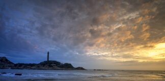 Ile oleju wchodzi do lag?